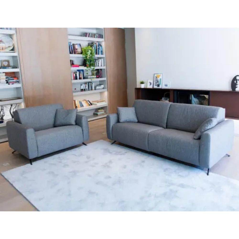 A modern gray fabric armchair and matching two-seat sofa arranged on a light rug in a bright living room with bookshelves and a dark console.