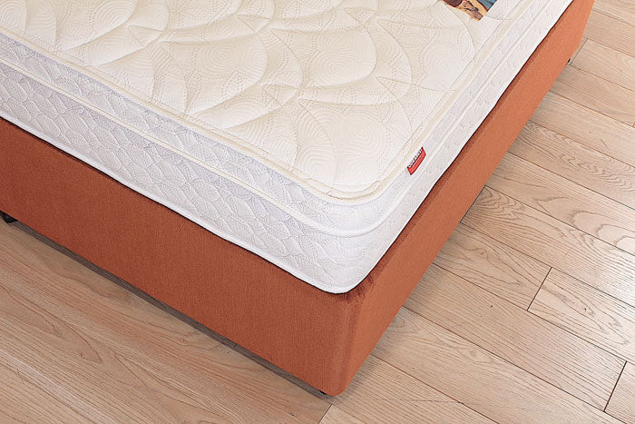 Corner Shot of Odearest Blackbird