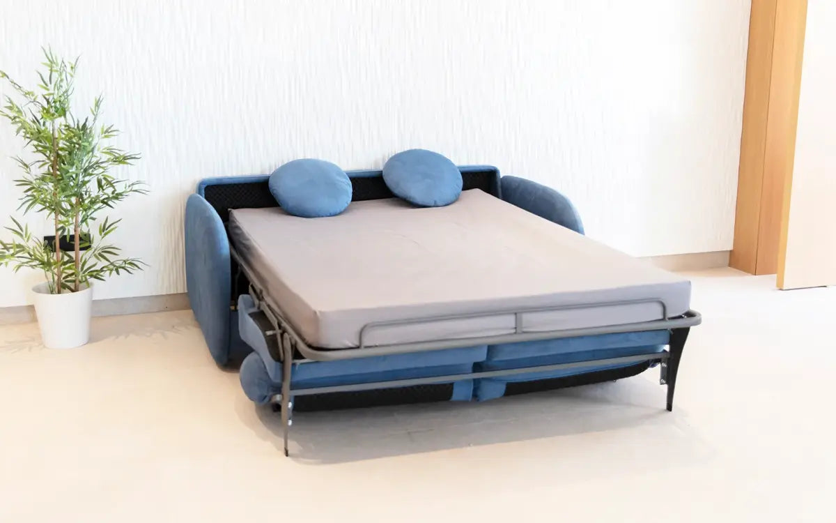 Blue sofa bed in a room with a plant and wooden door.