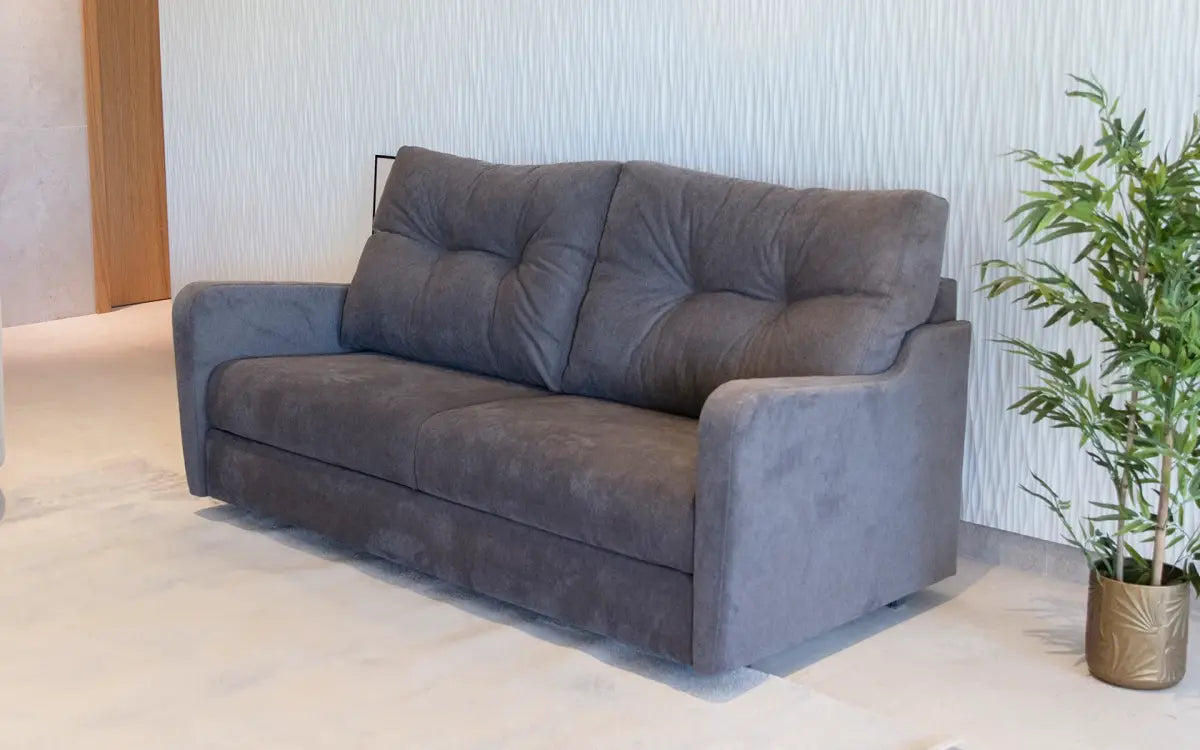 Gray sofa in a room with a plant on a light-colored floor.